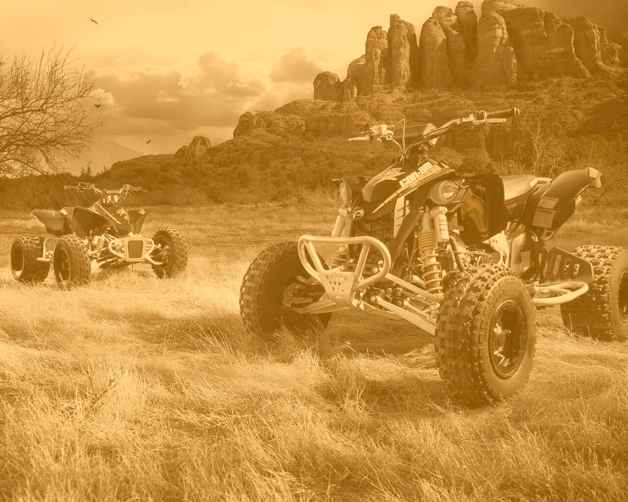 Квадроциклы обои