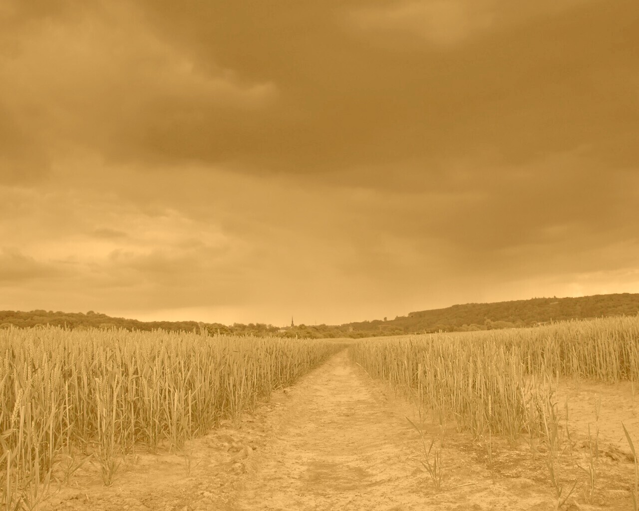 Поле ночью обои