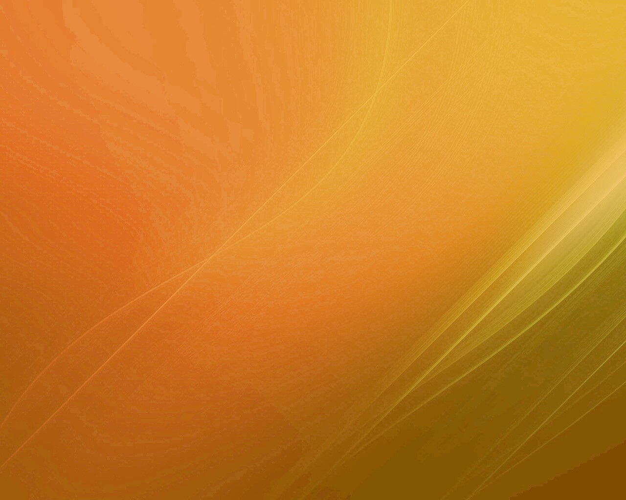 Буйство красок обои