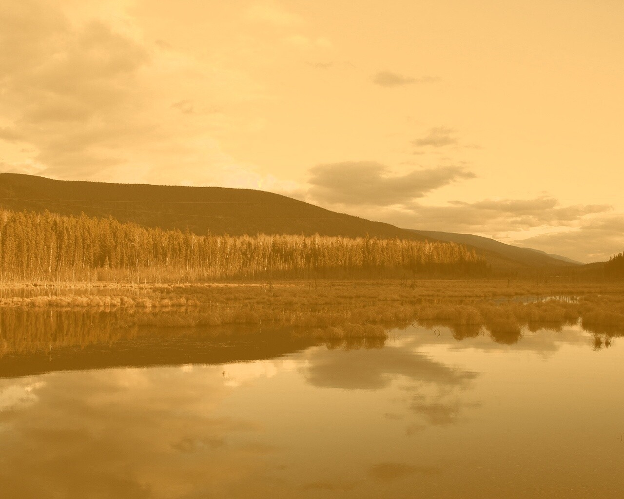 Осеннее озеро обои