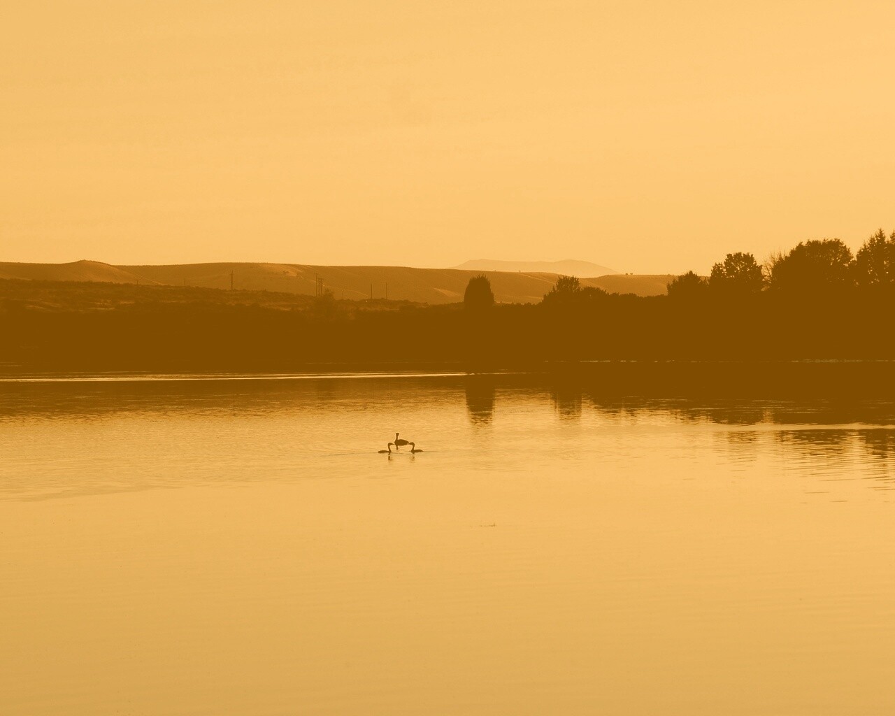 Утиное озеро обои