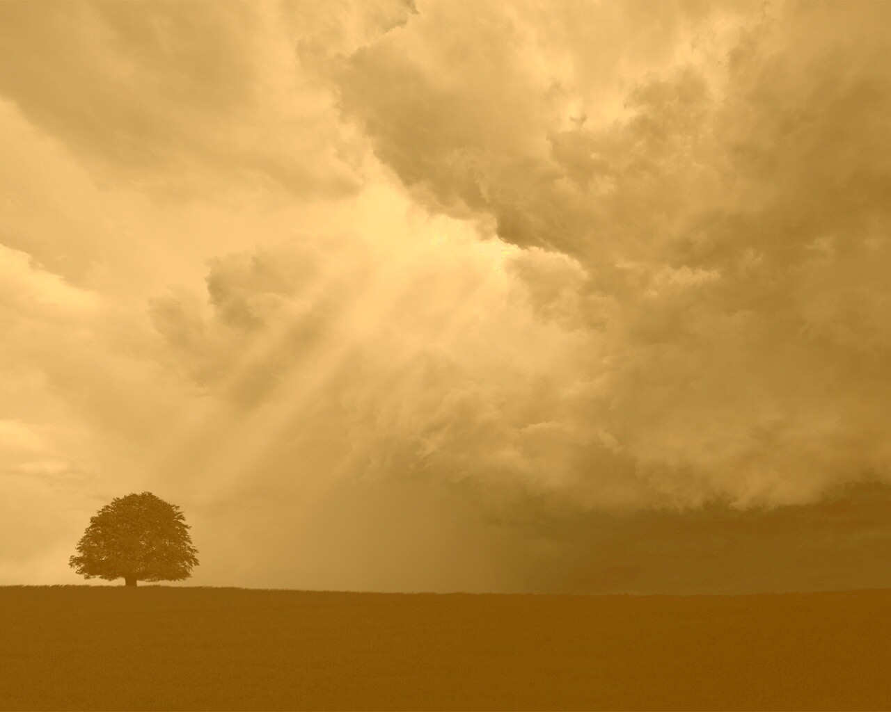 Избранный обои