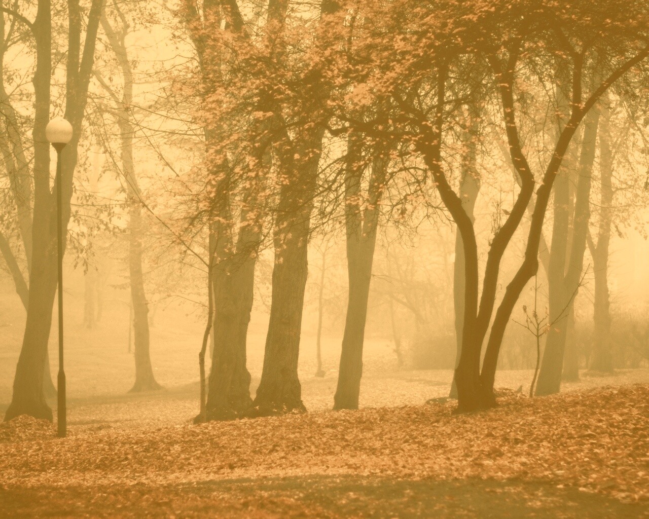 Парк красных листьев обои