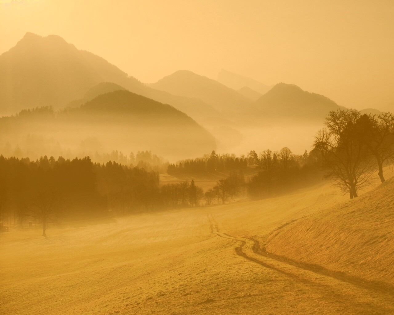 Дорога в туманную долину обои