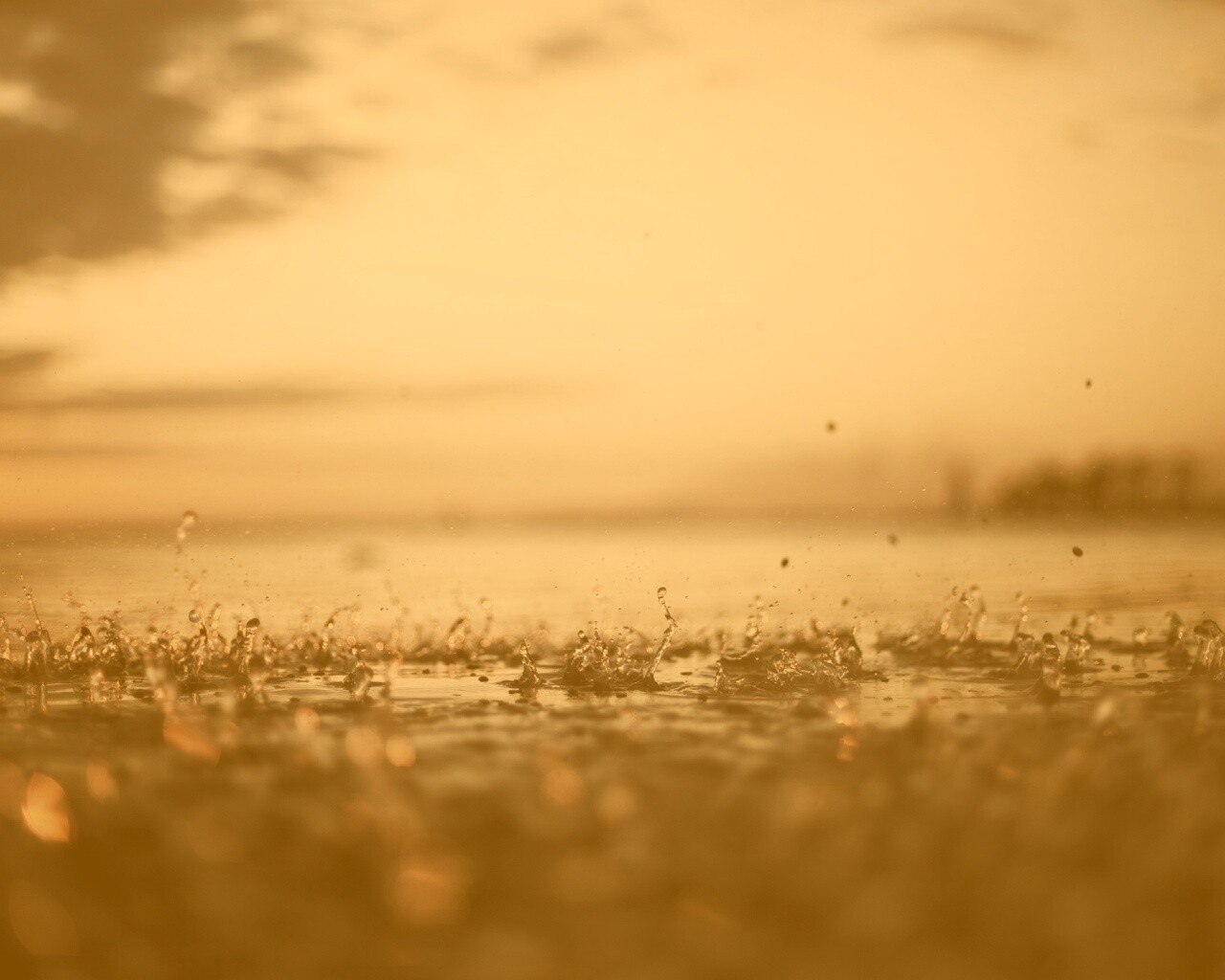 Дождь в макро обои