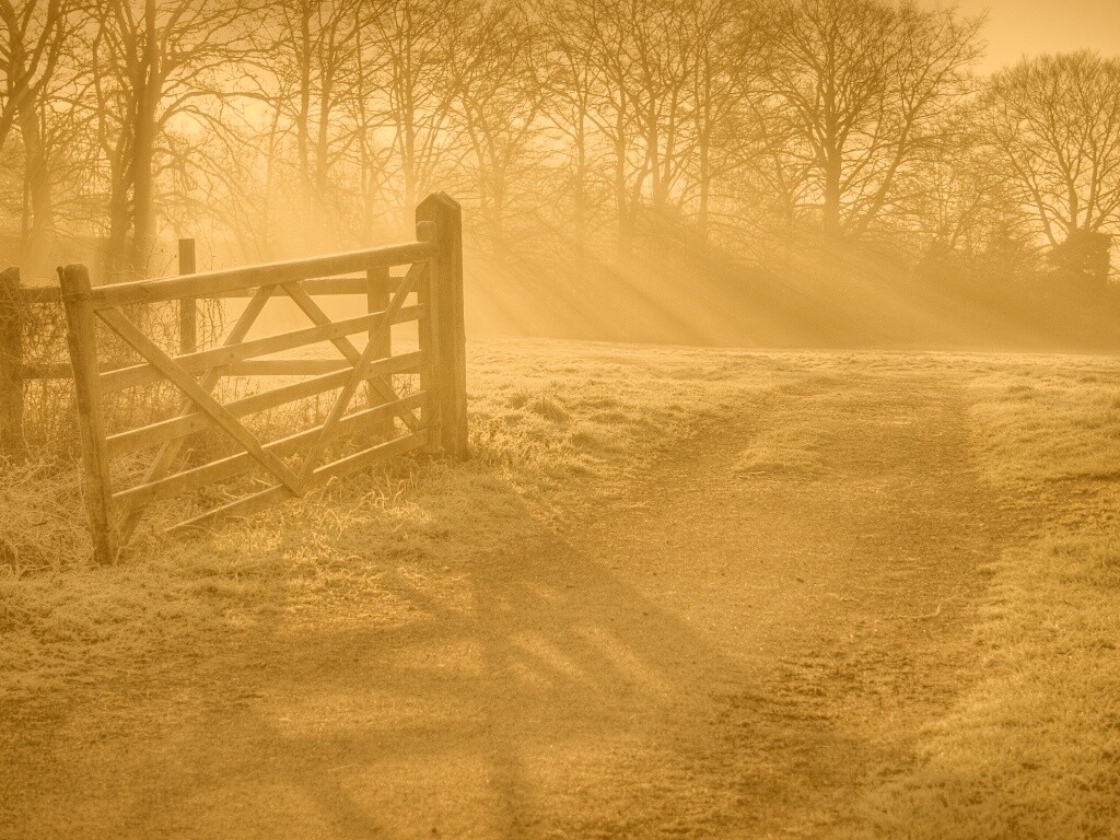 Открытые ворота обои