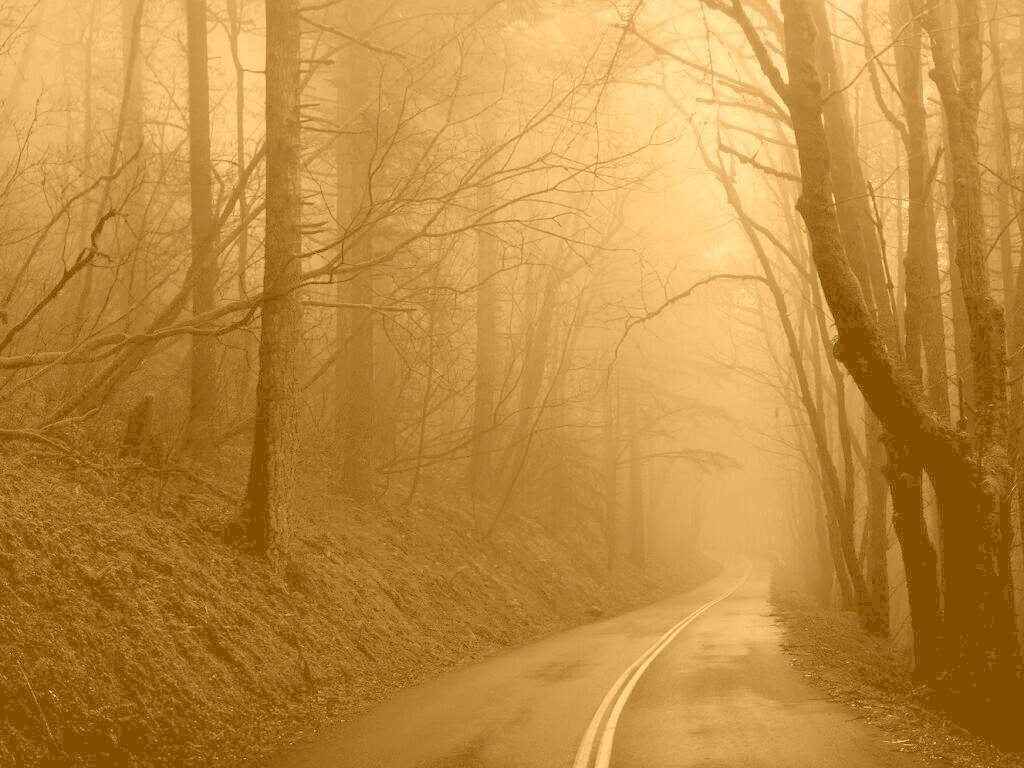 В туман обои