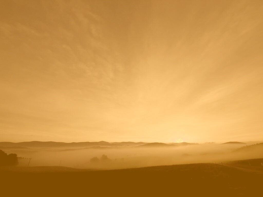 Утренний туман обои