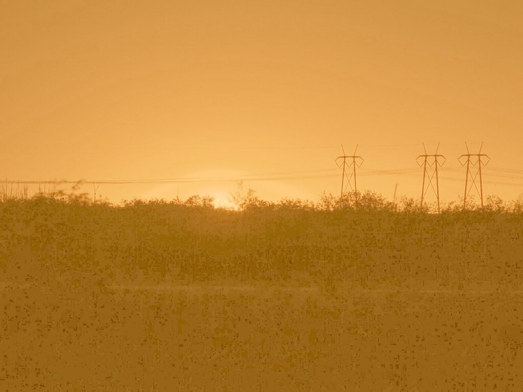 Закат за лесом обои