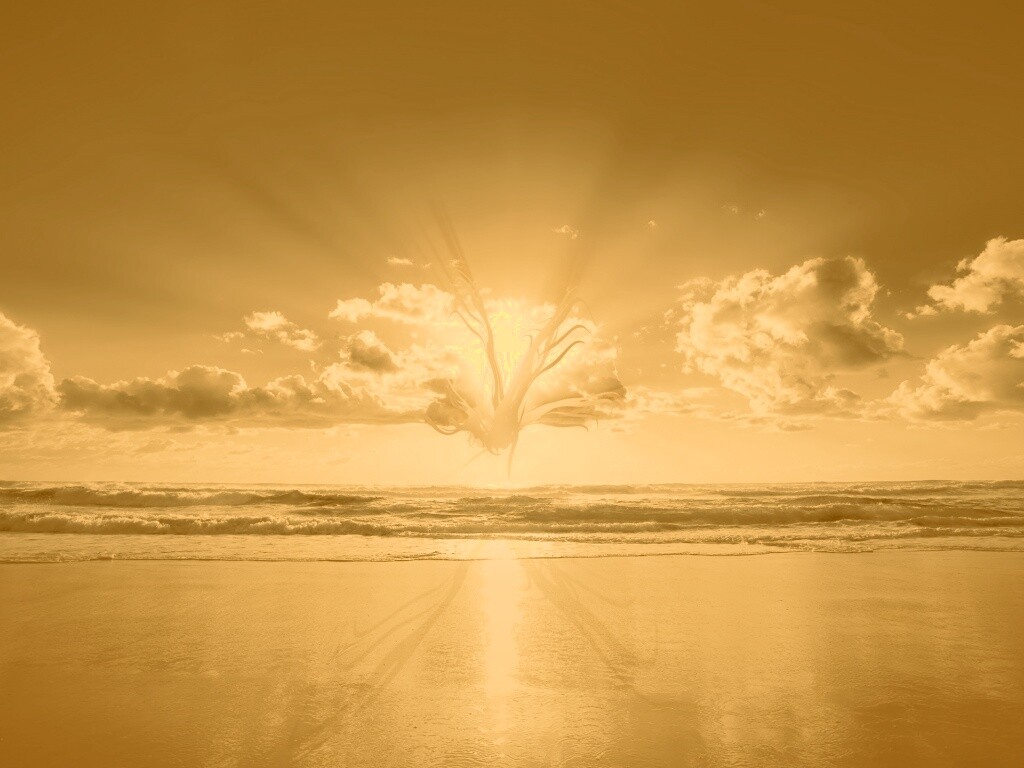 Абстрактные перья на фоне заката обои