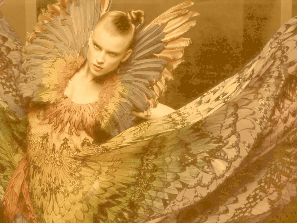 Костюм жар птицы обои