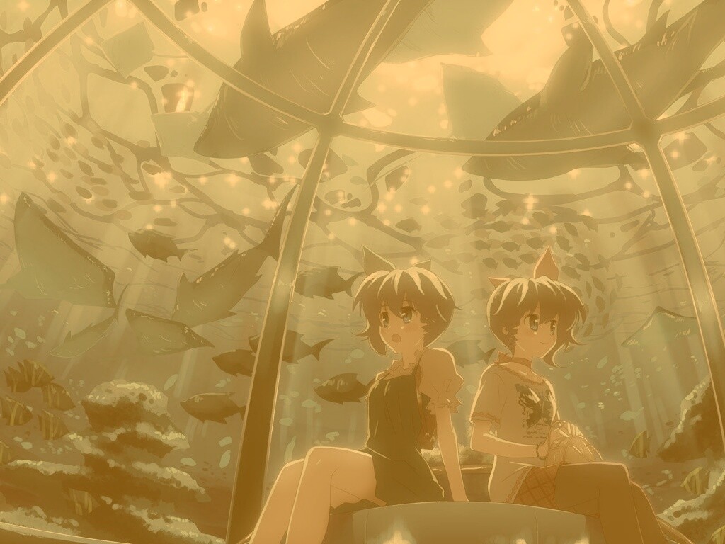 В океанариуме обои