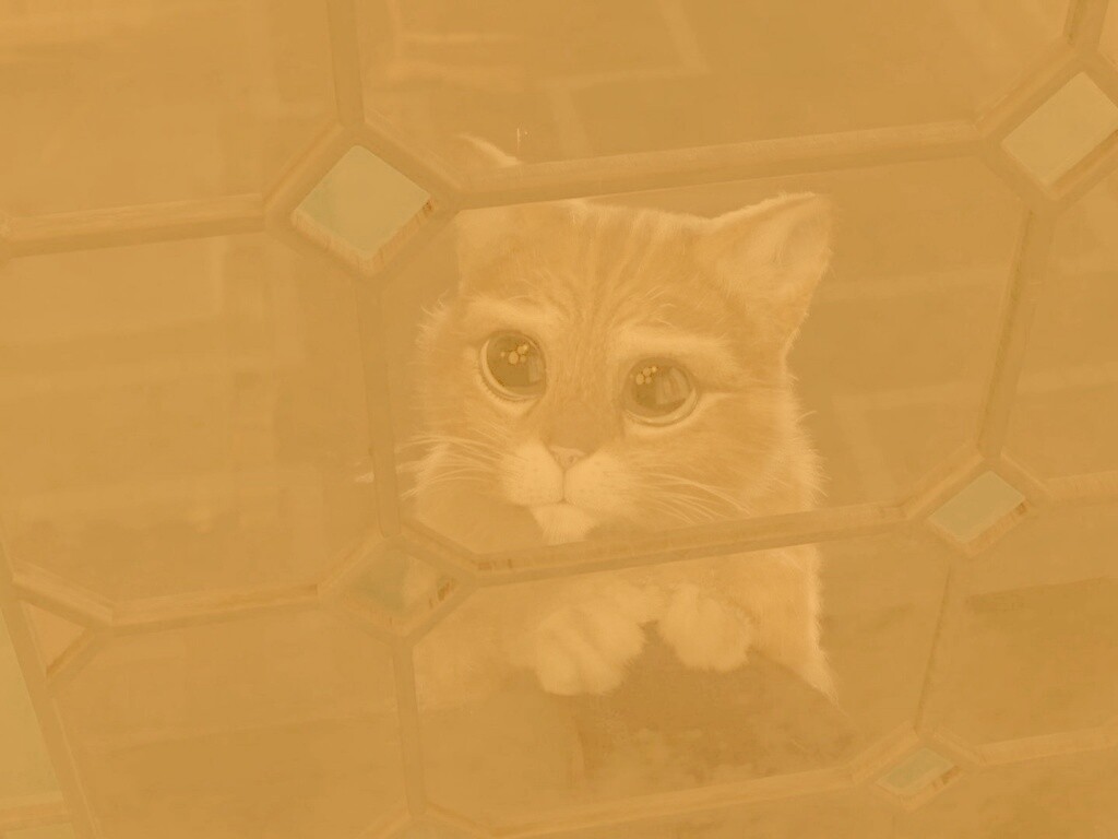 Кот в сапогах обои