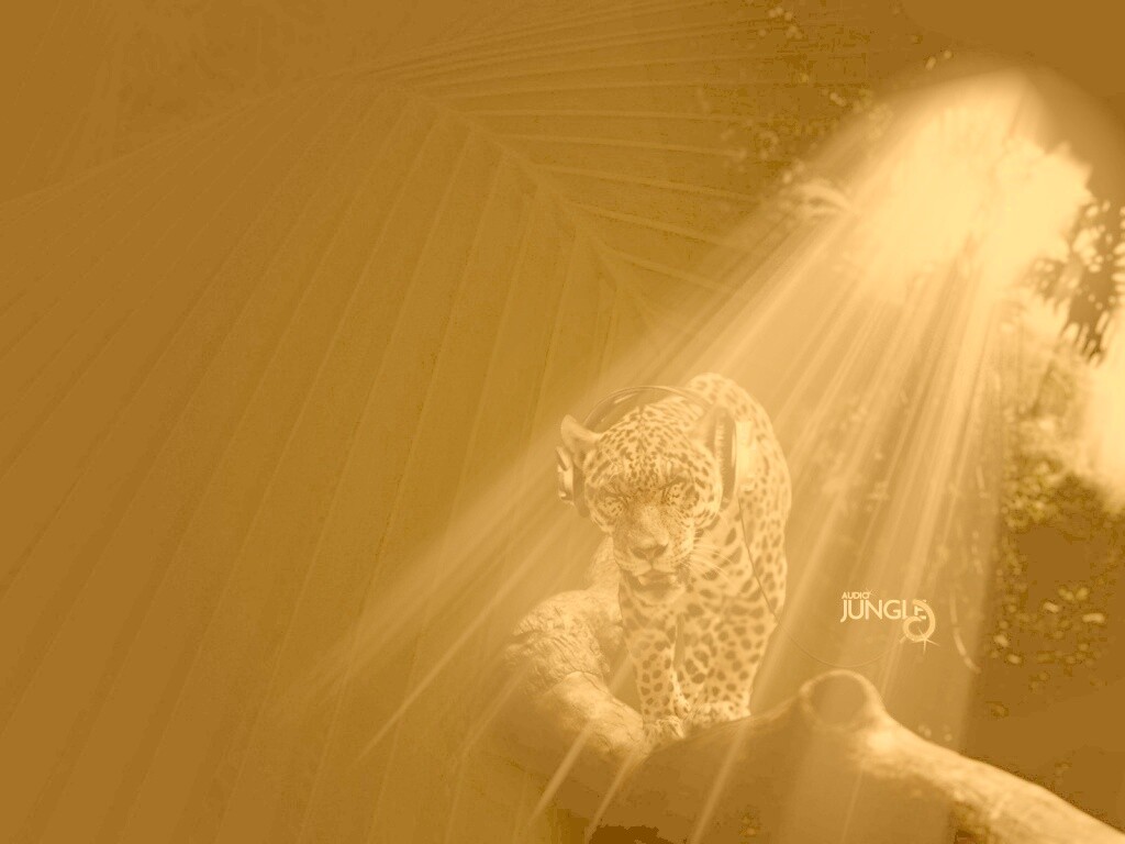 Ягуар в наушниках обои