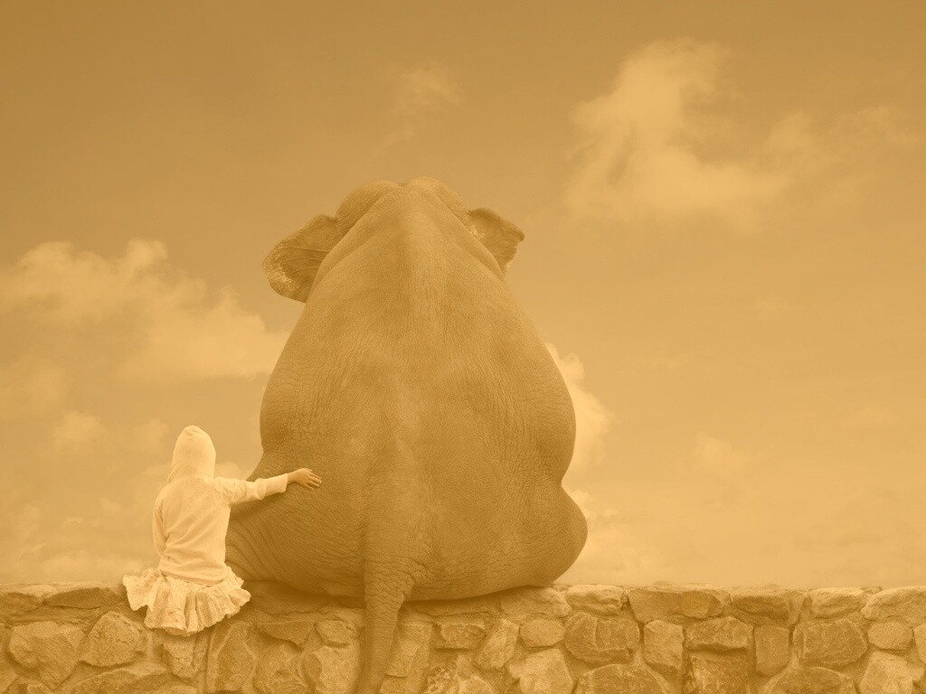 Девочка и слон обои