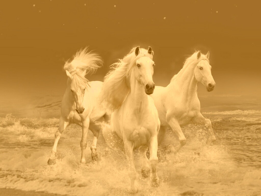 Тройка конец в море обои