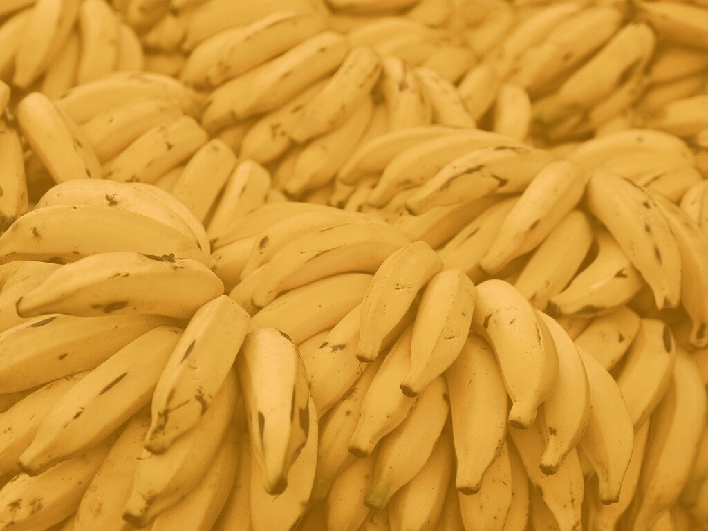 Много бананов обои