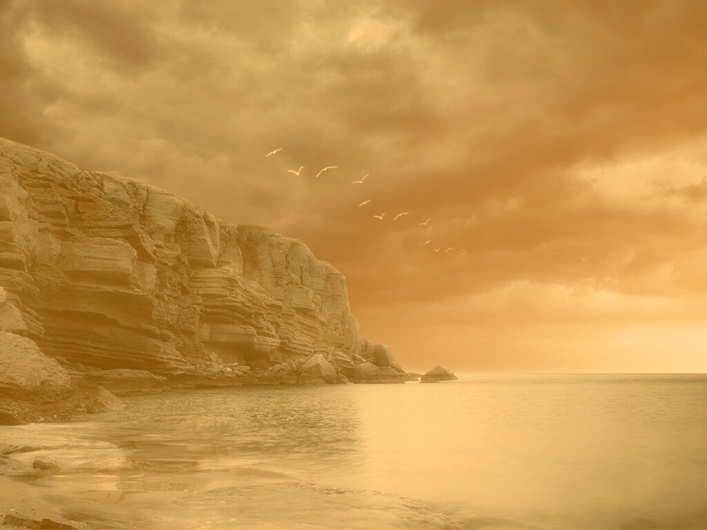 Чайки над скалами обои