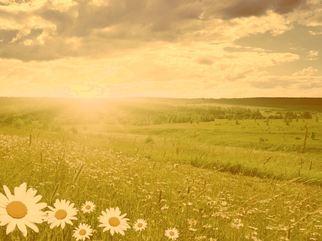 Летний восход обои