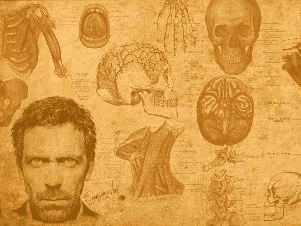 Анатомические рисунки доктора Хауса обои
