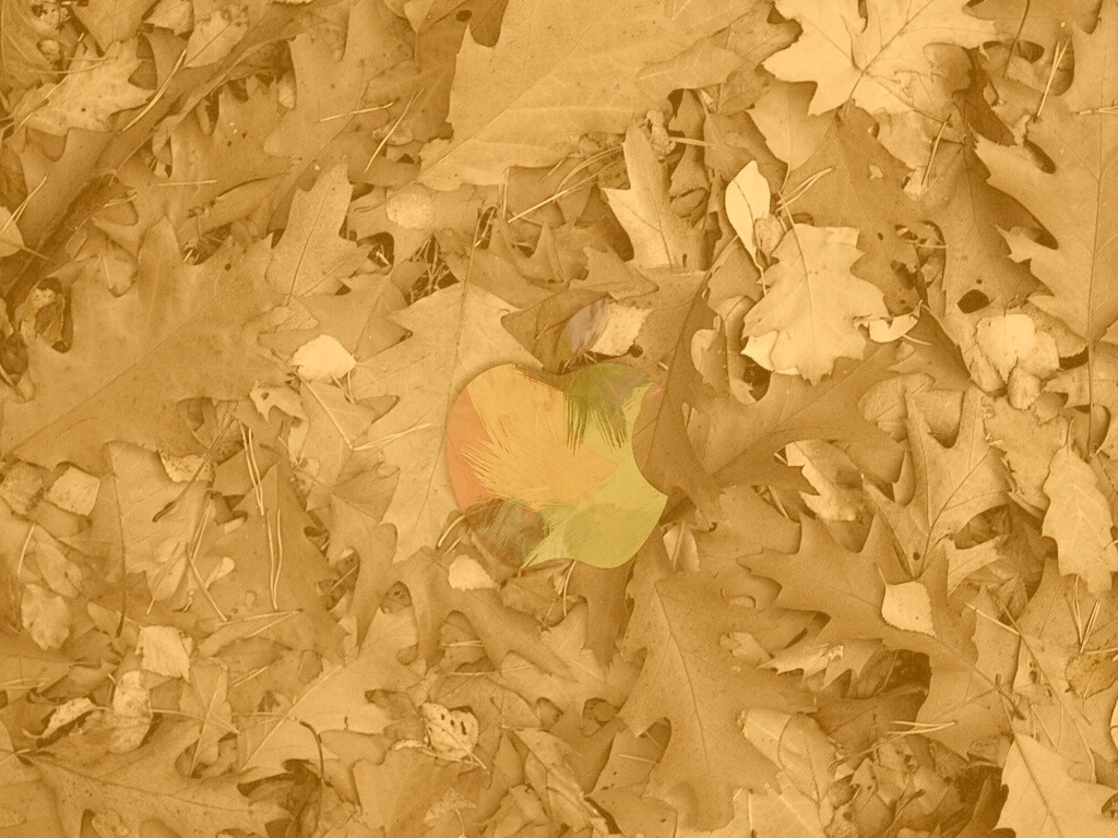 Эпл в сухой листве обои