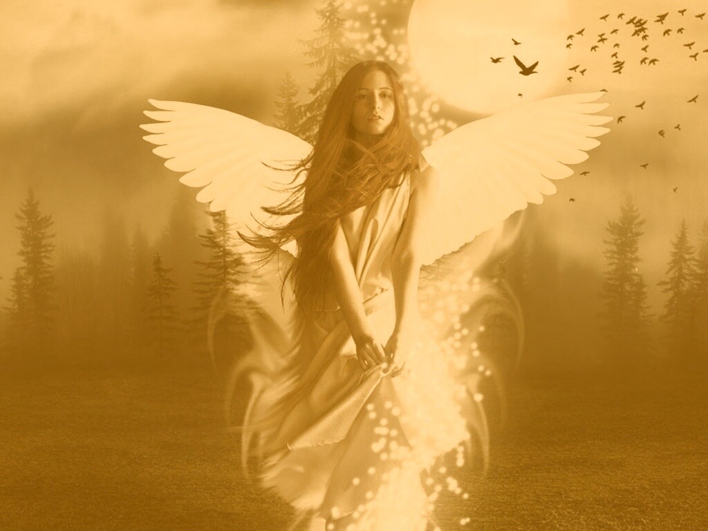 Девушка-ангел обои