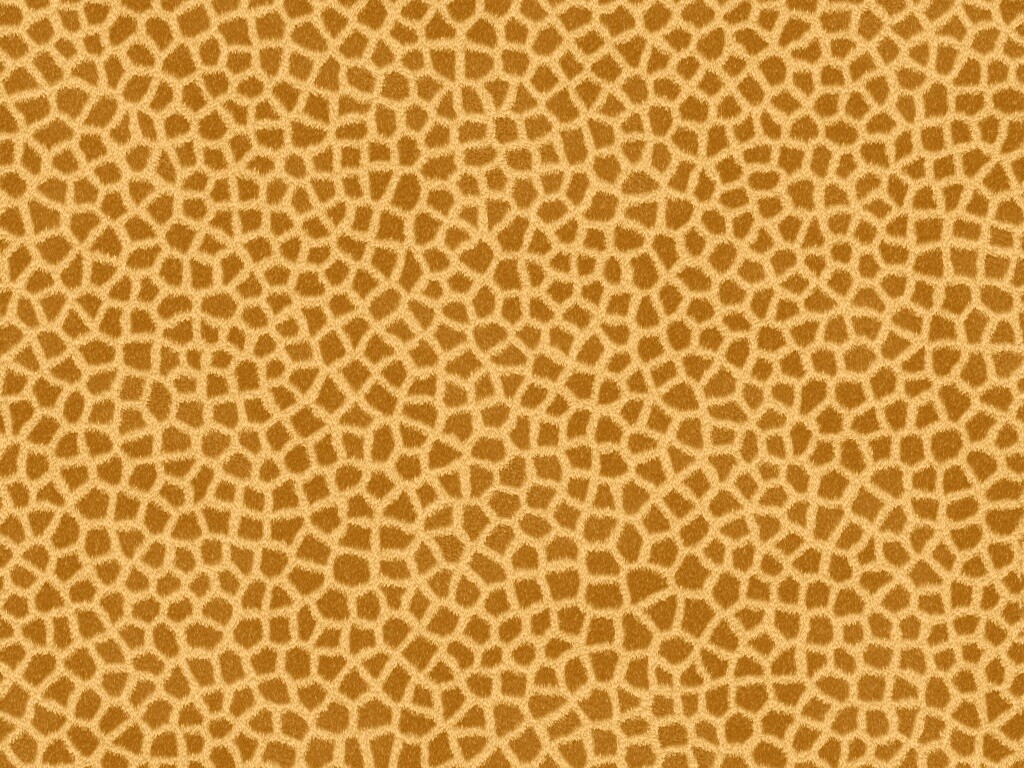 Текстура шкуры жирафа обои