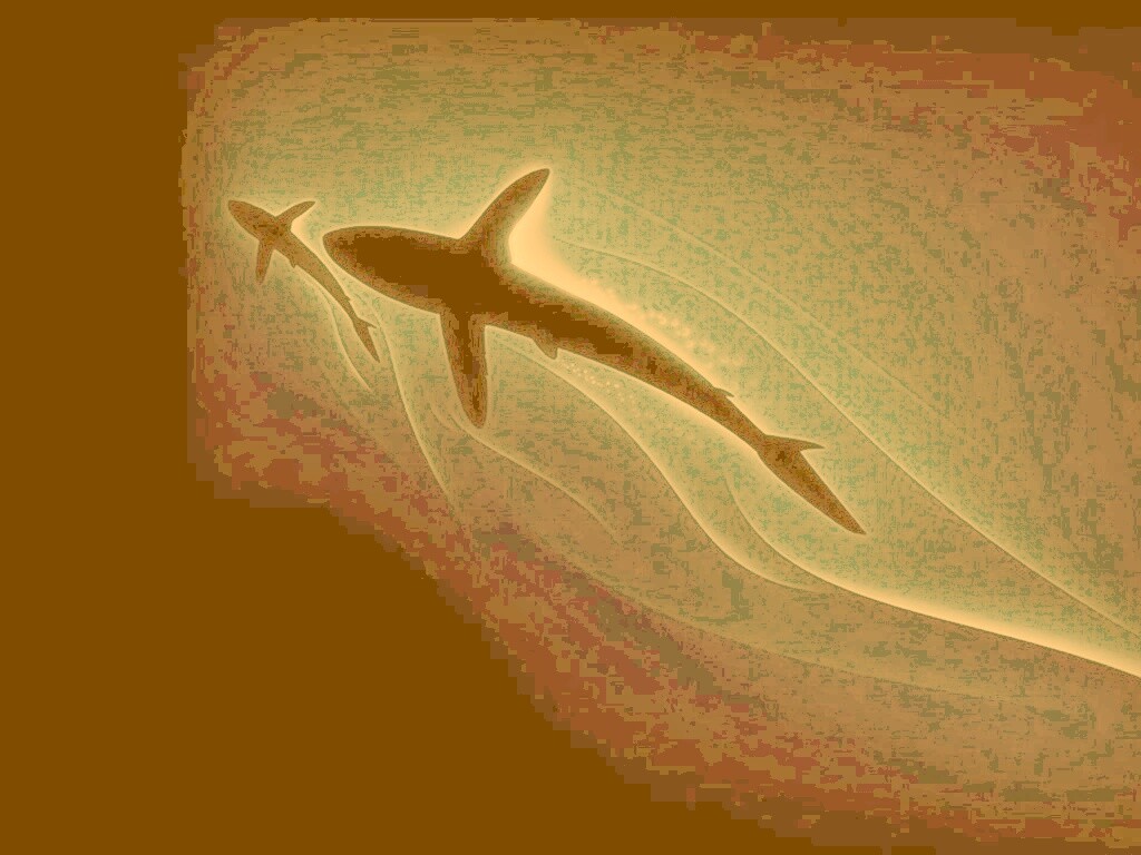 Рыбы в глубине обои