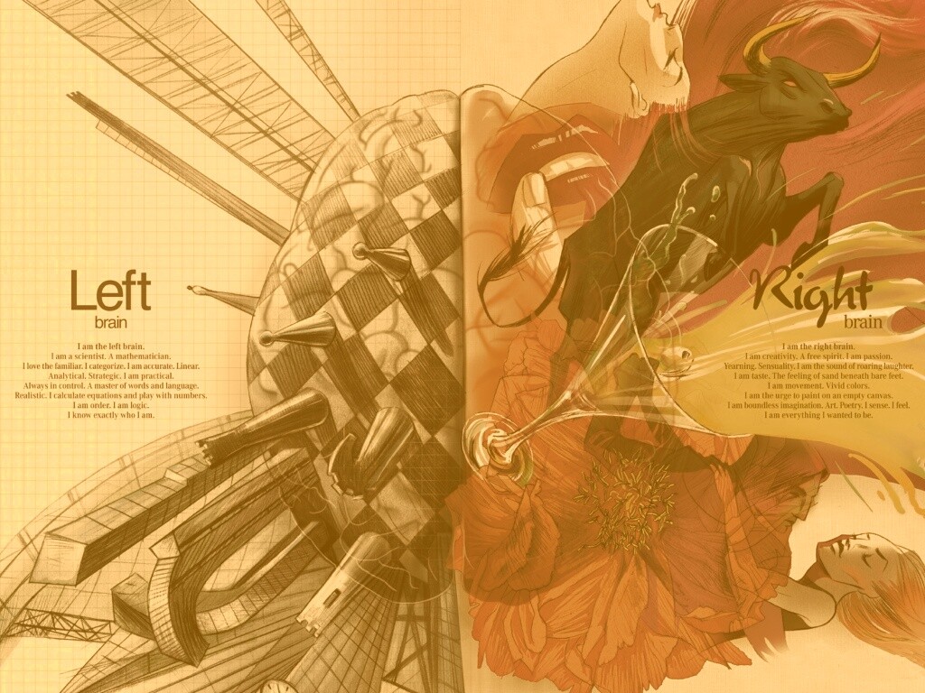 Левая и правая часть мозга обои