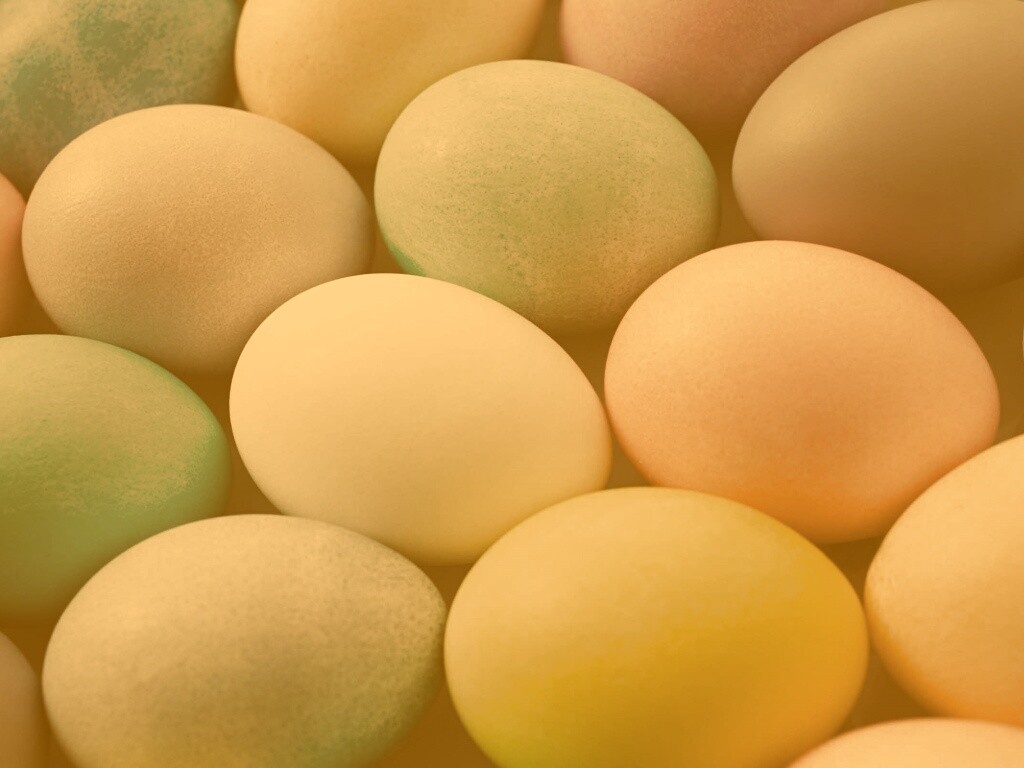Яркие пасхальные яйца обои
