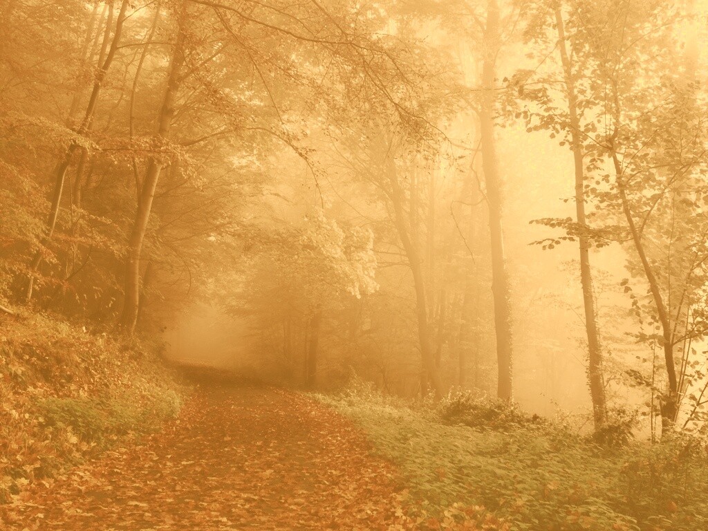 Осенний мистический пейзаж обои