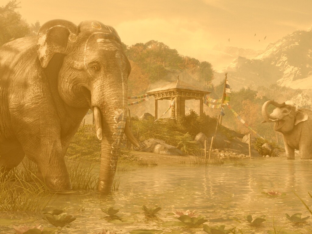 Слоники у воды обои