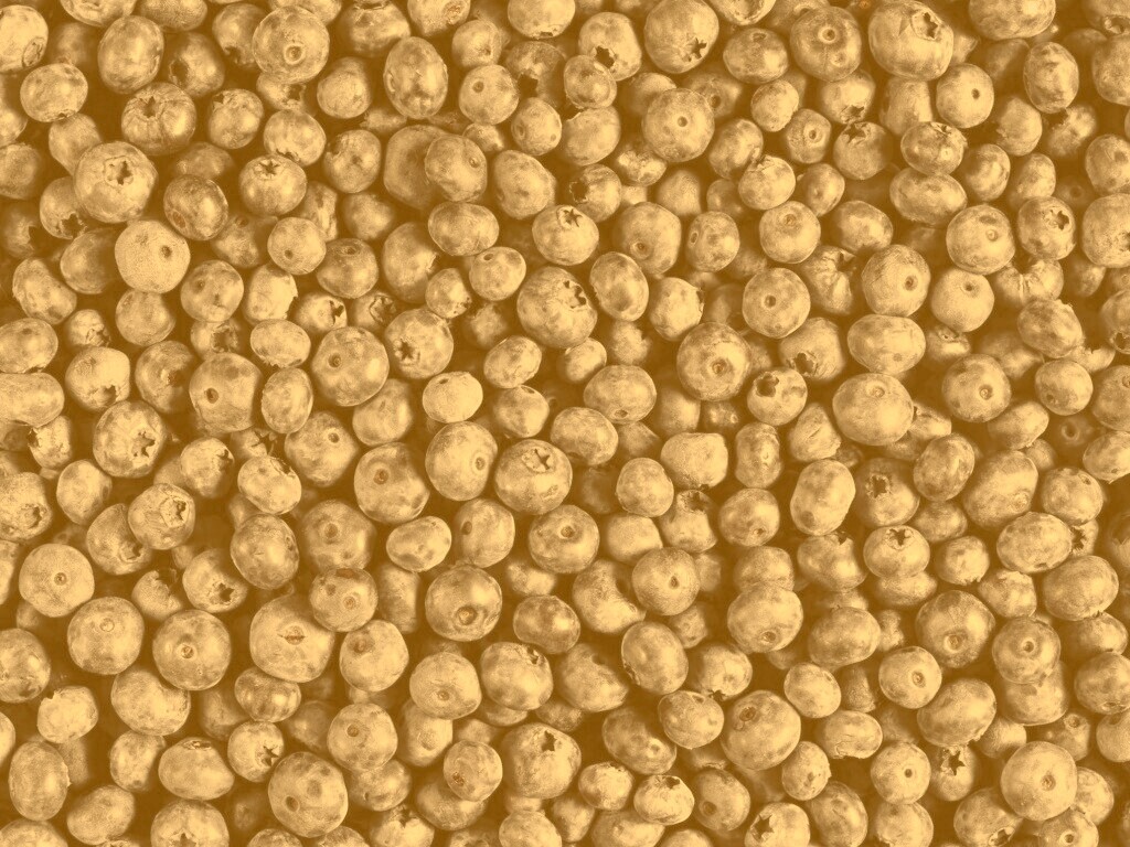 Черника обои