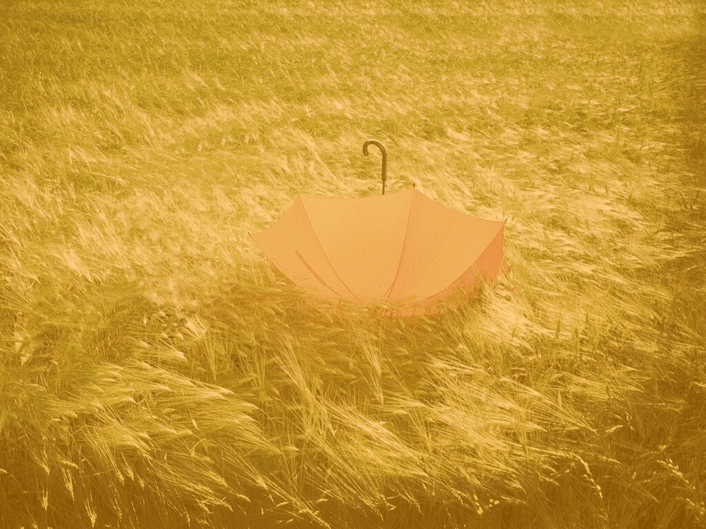 Зонт на траве обои