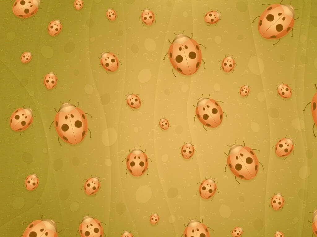 Божьи коровки обои
