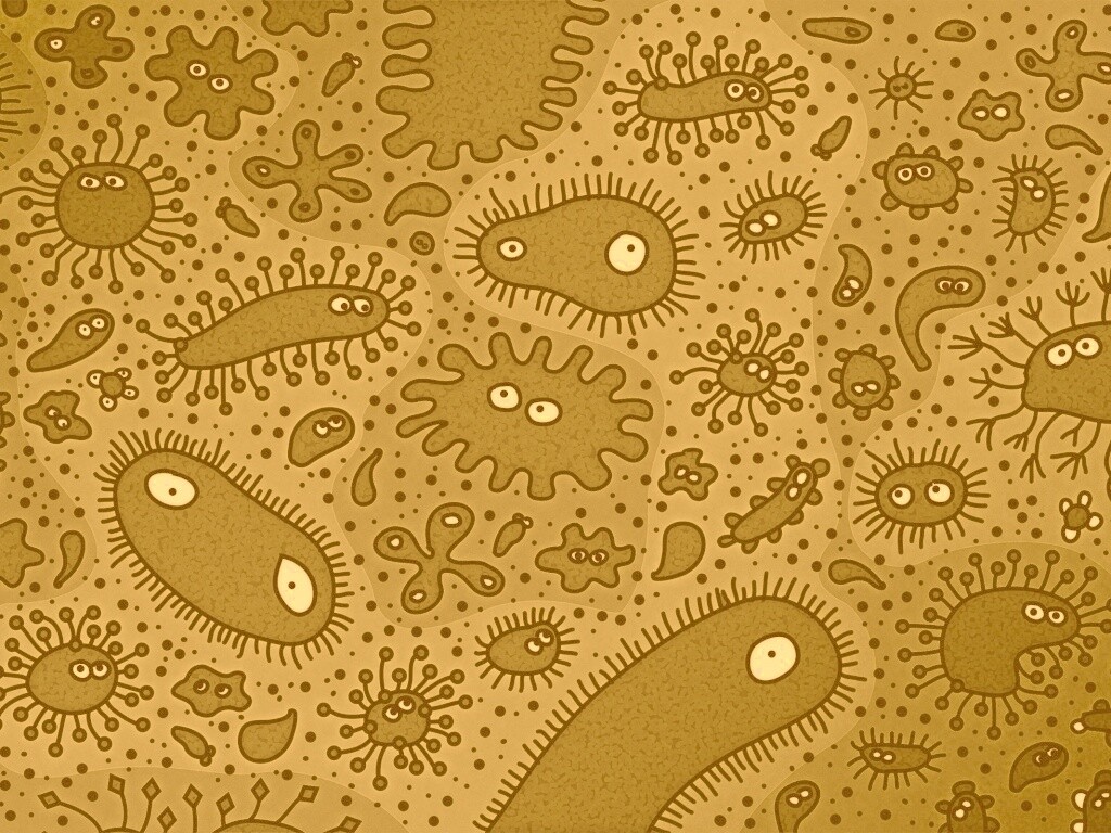 Микроорганизмы обои