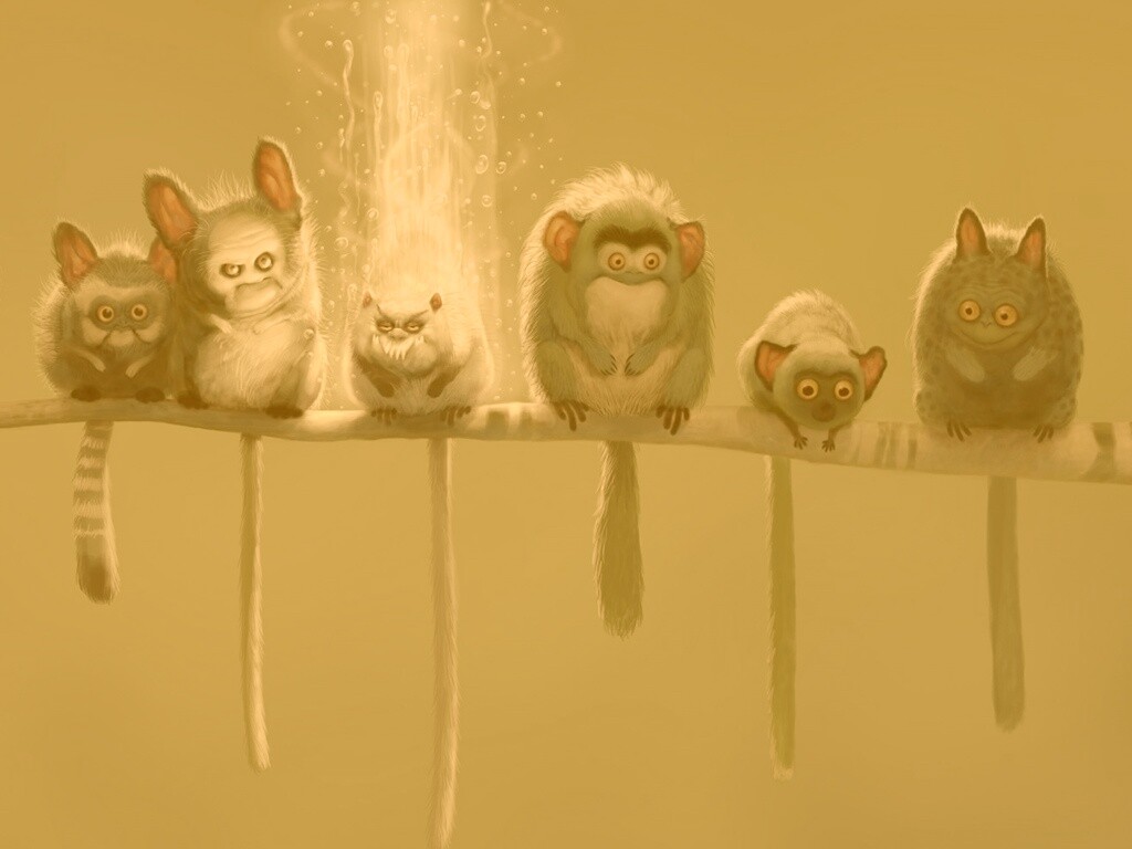 Существа на ветке обои