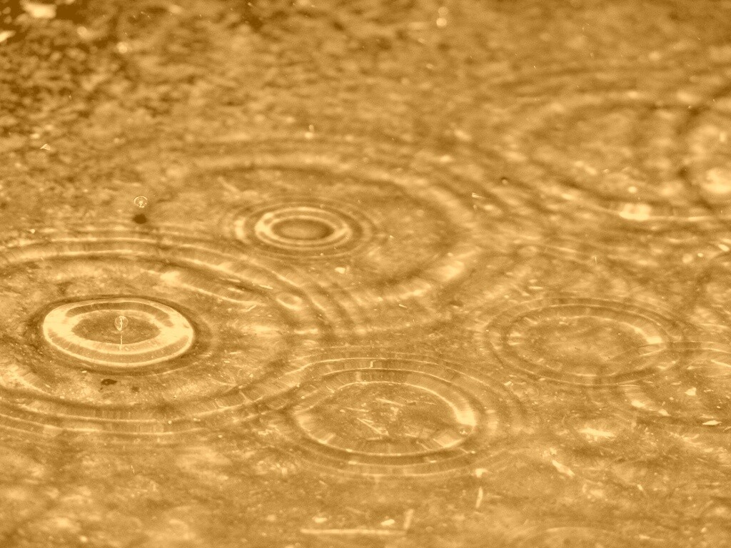 Круги на воде обои