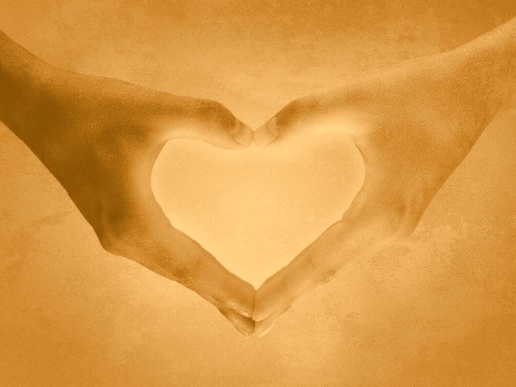 Сердце из сложенных рук обои