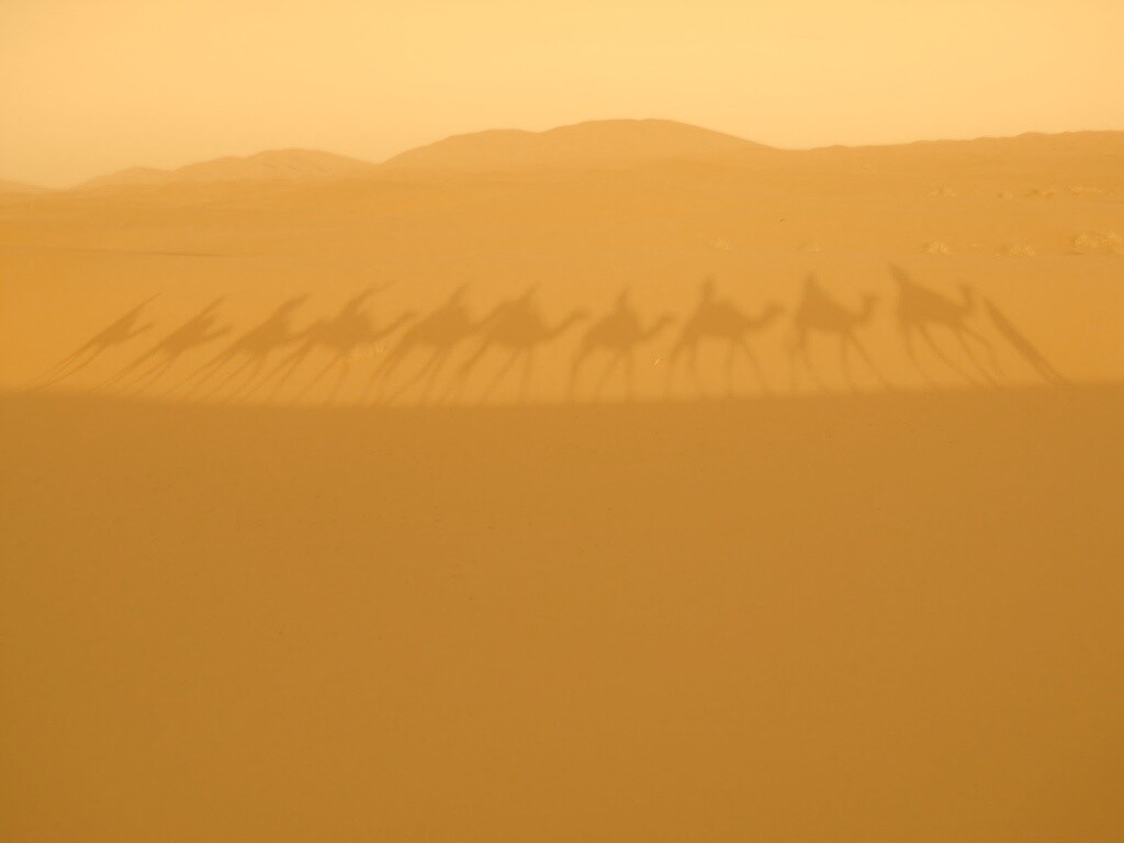 Караван обои