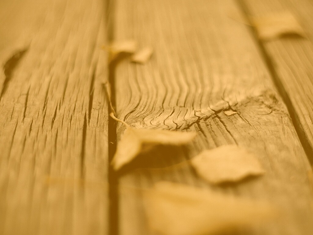 Листья на дощатом полу обои