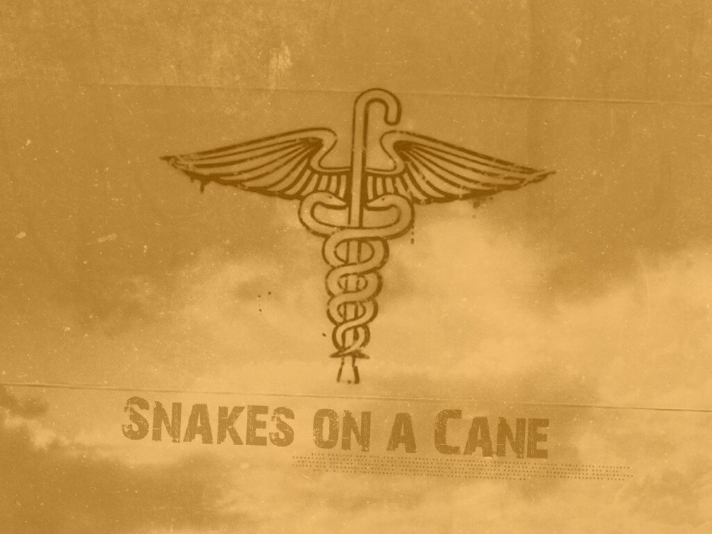 Змеи на трости обои