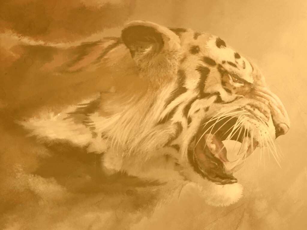 Картина с тигром обои