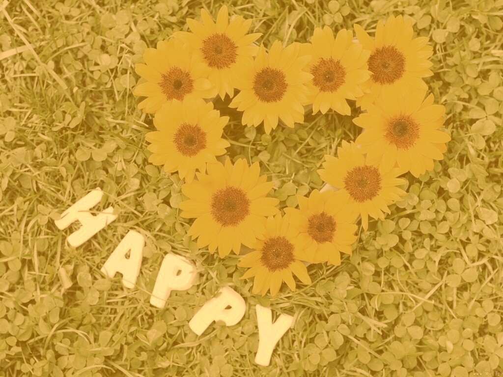 Радость обои