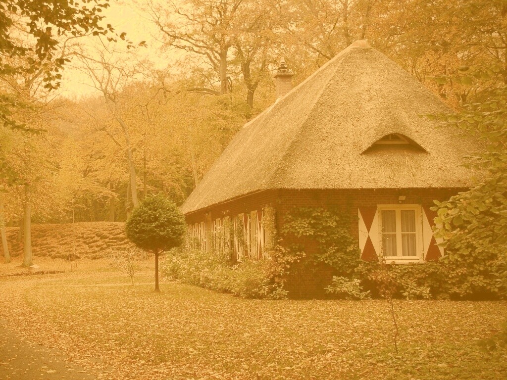 Домик в осеннем лесу обои