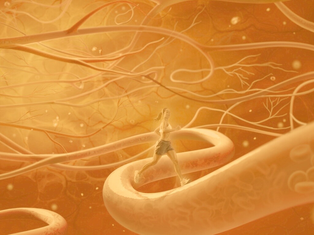 Бег крови обои