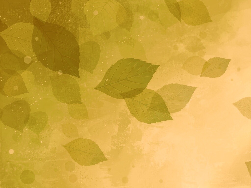 Прозрачные листья обои