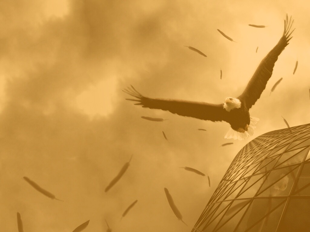 Орлиный полет обои