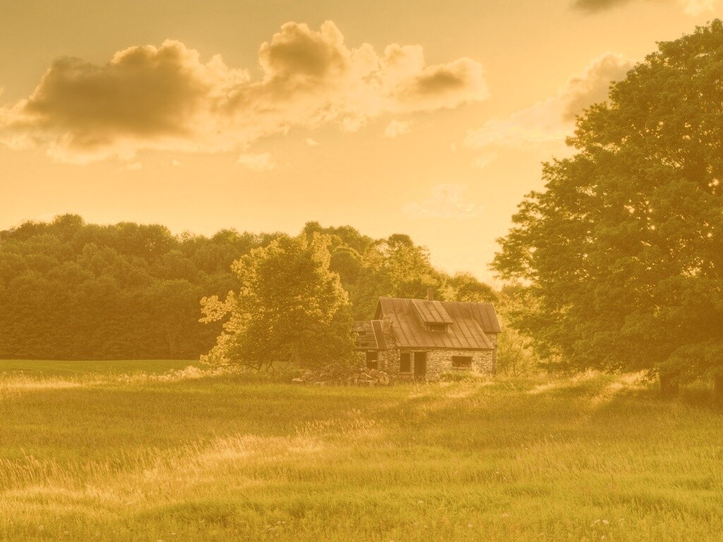 Домик в лесу обои