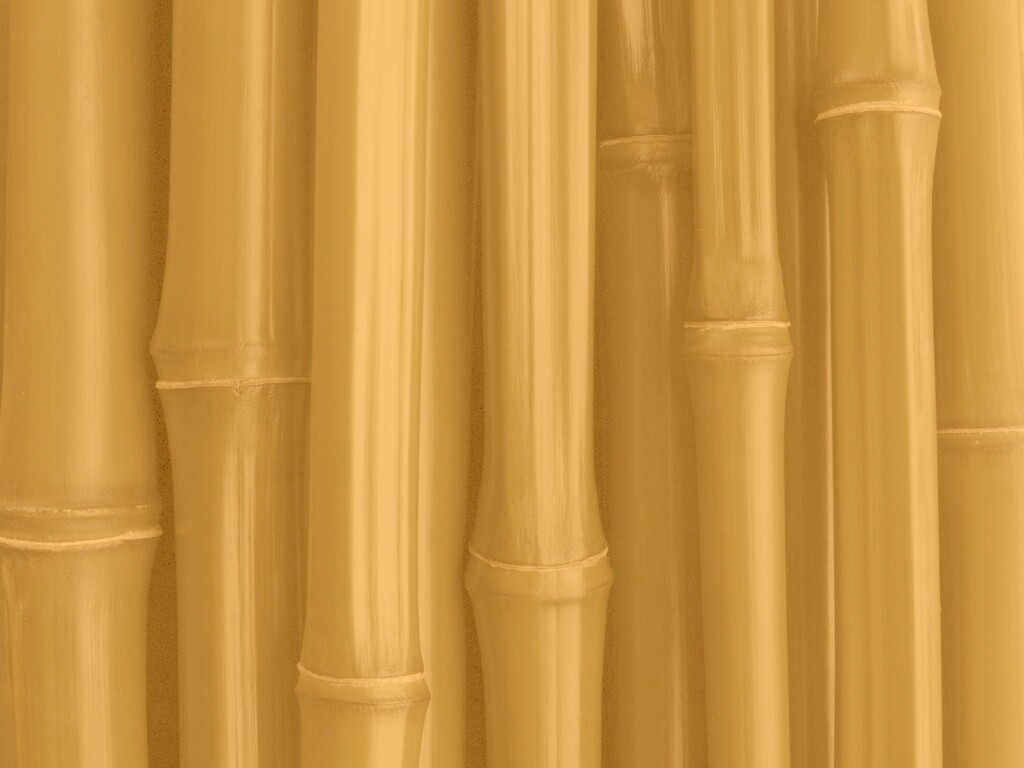 Бамбуковая роща обои